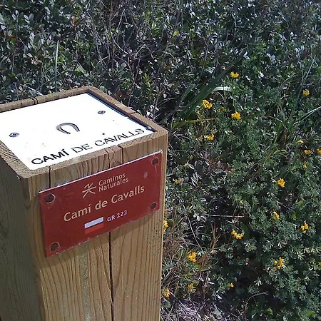 Szálloda Playa Santandria Adults Only 3*